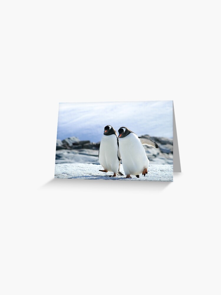 Carte De Vœux Romantique Love Kiss Dans Un Style De Dessin Animé