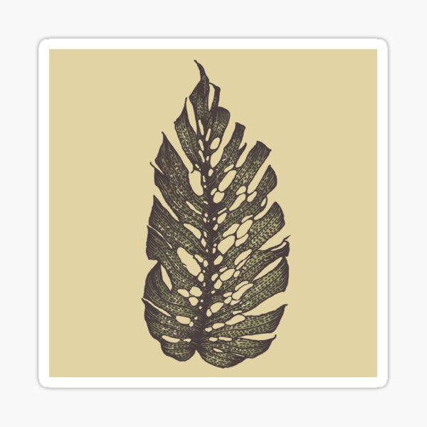 Monstera Dubia - Leaf Sticker