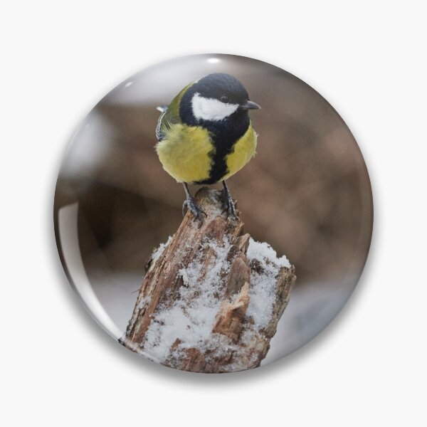 Item preview, Just wondering. Great tit designed and sold by Jouko Lehto Photography.