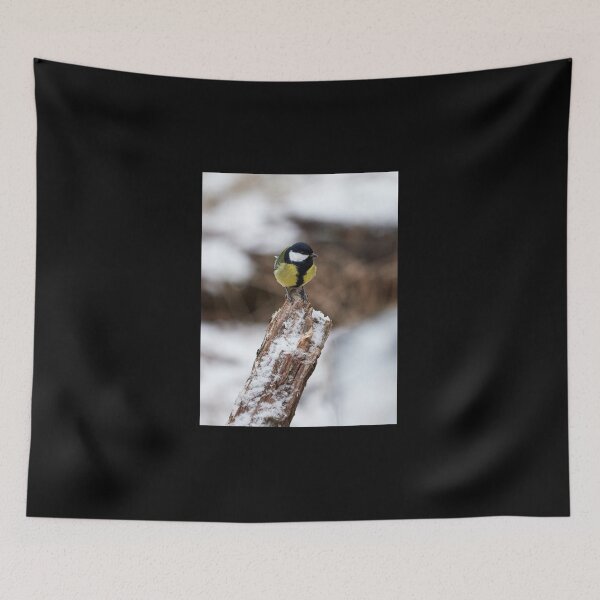 Item preview, Just wondering. Great tit designed and sold by Jouko Lehto Photography.