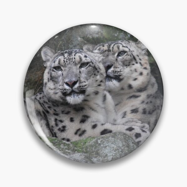 Item preview, Snow leopards designed and sold by Epiphany27Photo.