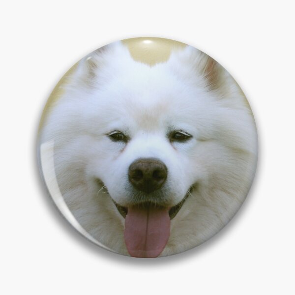 Item preview, Samoyed Staring with tongue out designed and sold by wingstar.