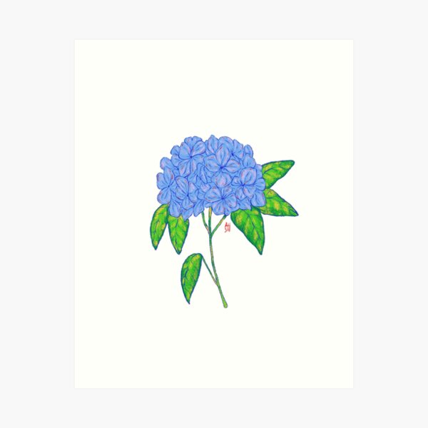Item preview, Blue Hydrangeas  designed and sold by Ashtyngaskin.