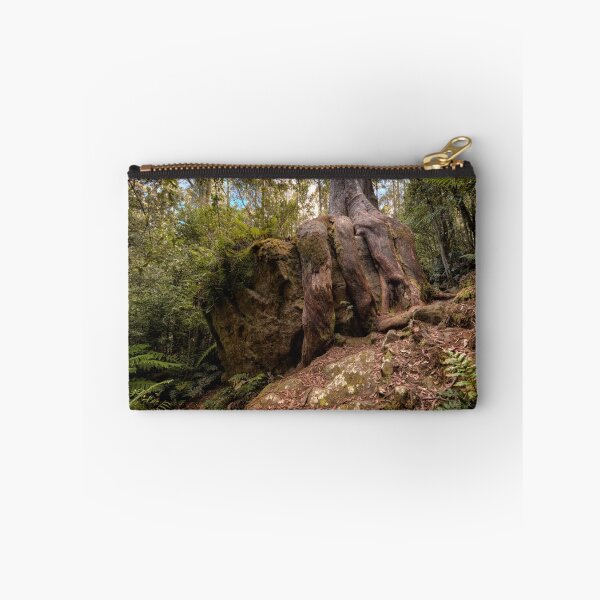 Item preview, Octopus Tree, Mt Wellington, Tasmania designed and sold by Chris Cobern.