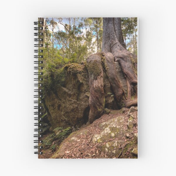 Item preview, Octopus Tree, Mt Wellington, Tasmania designed and sold by Chris Cobern.