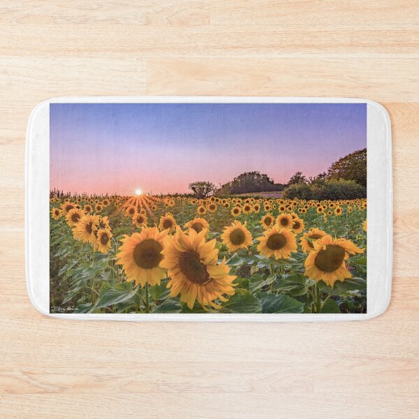 Item preview, A sunset sunflower field designed and sold by Dannyhowe81.