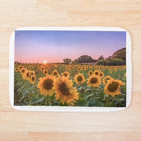 Item preview, A sunset sunflower field designed and sold by Dannyhowe81.