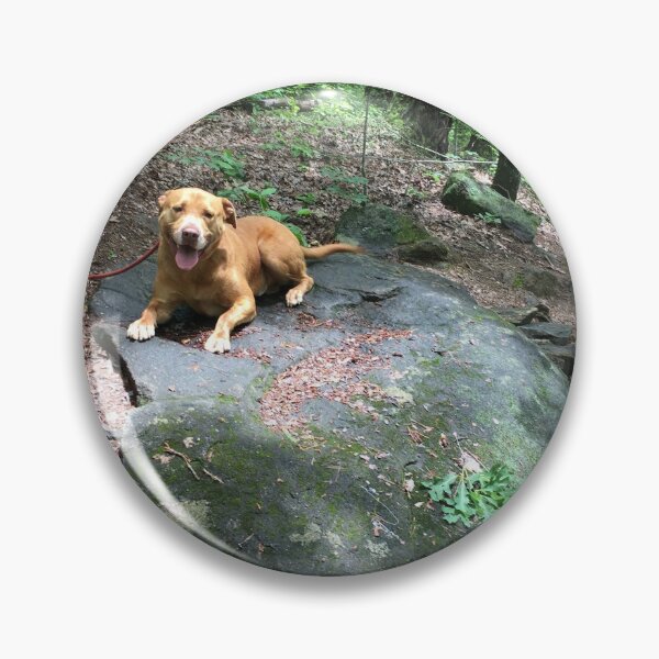 Item preview, Hiking with Rosco as he takes a rest on top of a rock on the moutain ridge designed and sold by Taleta Hollis.