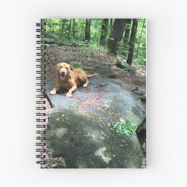 Item preview, Hiking with Rosco as he takes a rest on top of a rock on the moutain ridge designed and sold by Taleta Hollis.