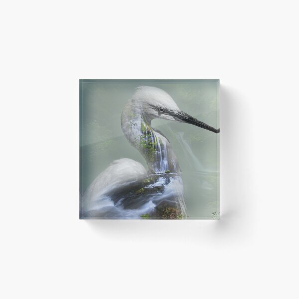 Item preview, An Egret double exposure designed and sold by Dannyhowe81.