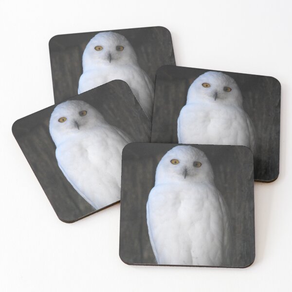 Item preview, Snowy Owl designed and sold by Epiphany27Photo.