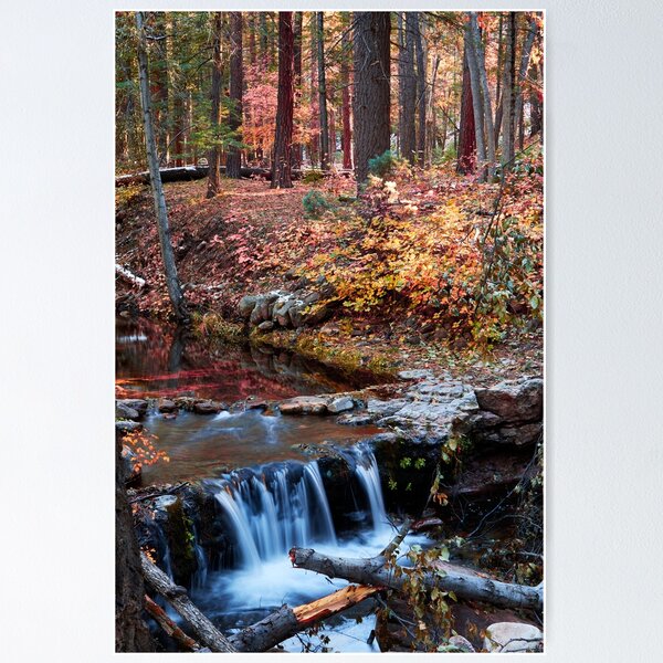 Item preview, Autumn Falls designed and sold by BGSPhoto.