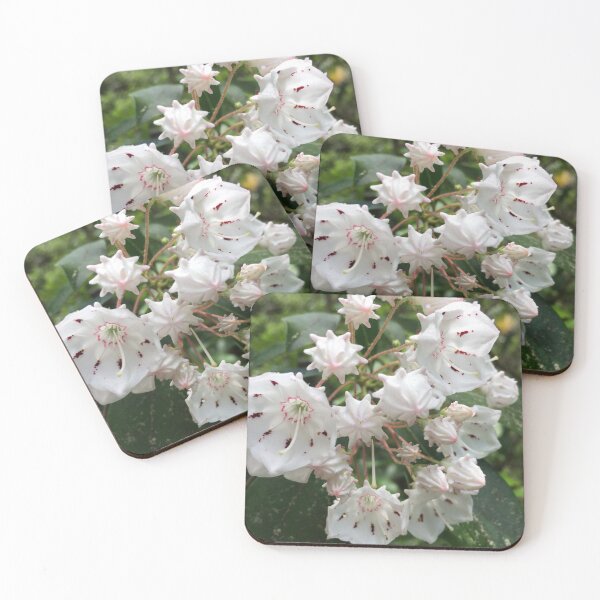 Artikelvorschau, Mir wurde gesagt, dass dies Mountain Laurel Flowers sind entworfen und verkauft von Taleta Hollis.