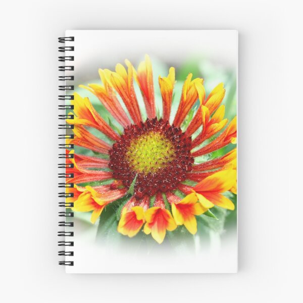 Item preview, Gloriosa Daisy ~ Rudbeckia Hirta ~ Blanket Flower designed and sold by SummerJade.