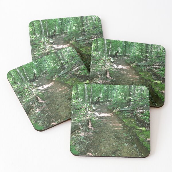 Item preview, Look at this view on the hiking trail. This is a well traveled hiking path.  designed and sold by Taleta Hollis.
