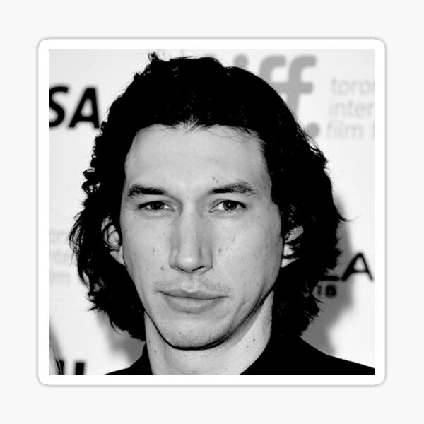 Vista previa del artículo con la obra «Adam Driver», diseñado y vendido por sempiternaall.