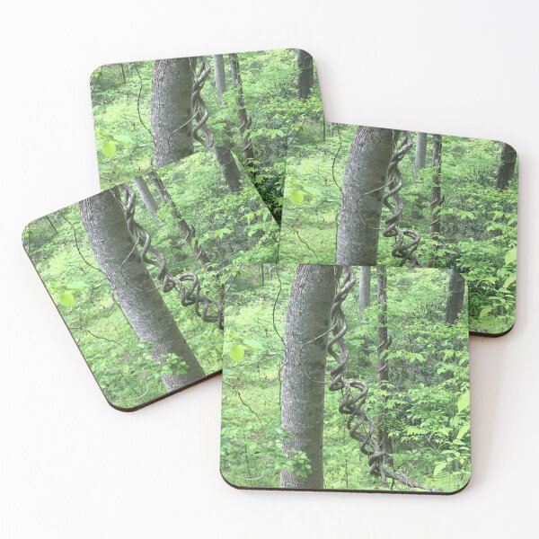 Item preview, Cool vines look like ringletts hanging down from the trees on the trail today designed and sold by Taleta Hollis.
