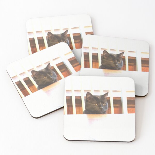 Item preview, Magheera thinks he is a person. Just look at him sitting in the kitchen chair. designed and sold by Taleta Hollis.