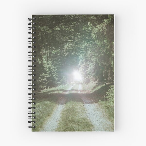 Item preview, Tunnel of Trees landscape photography designed and sold by regnumsaturni.