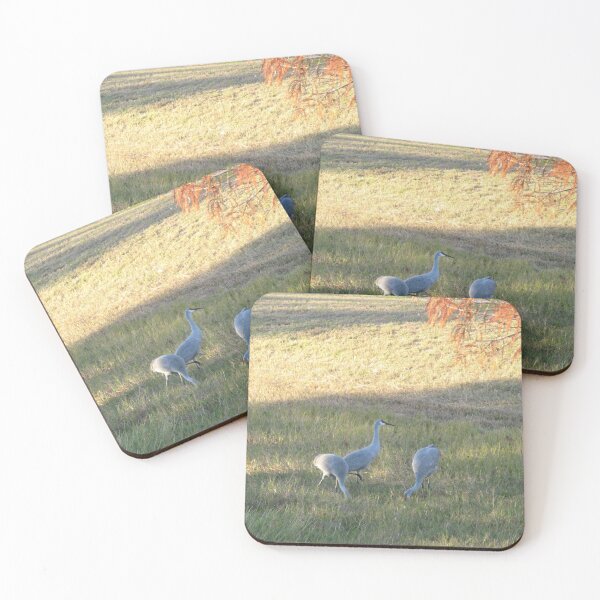 Item preview, Sand Hill Cranes in Field designed and sold by ValeriesGallery.