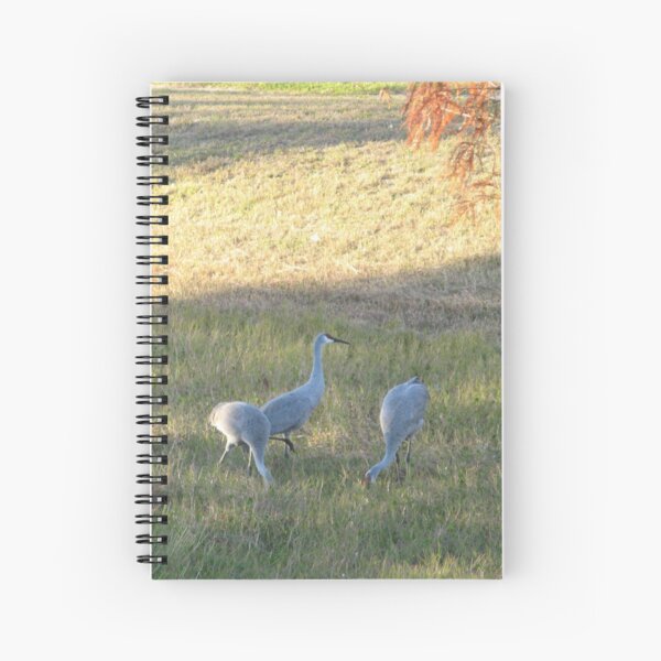 Sand Hill Cranes in Field Spiral Notebook
