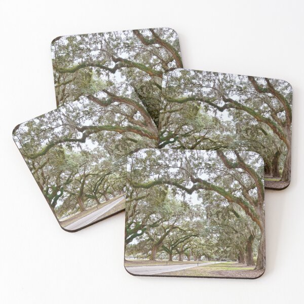Item preview, Avenue of the Oaks, South Carolina designed and sold by Catherine Sherman.