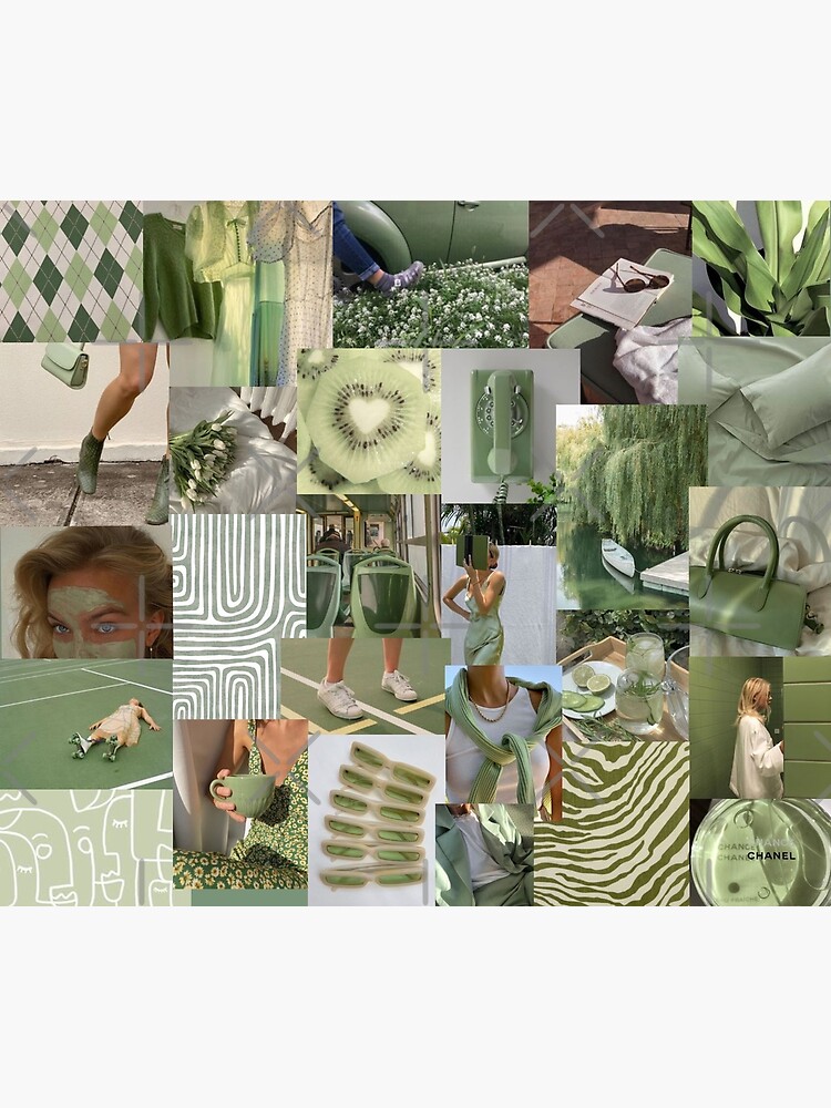 60 DIGITAL Sage Green Aesthetic Collage Sage Green Photo Wallpaper