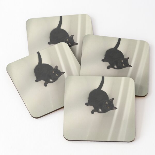 Item preview, Why Magheera? I don't know why Magheera likes to sleep in the tub. I thought cats don't like water. designed and sold by Taleta Hollis.