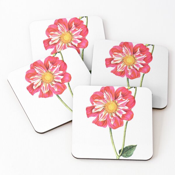 Item preview, Vintage Dahlia 'Ami Nonin' Botanical Print designed and sold by Douglas E. Welch Design and Photography.
