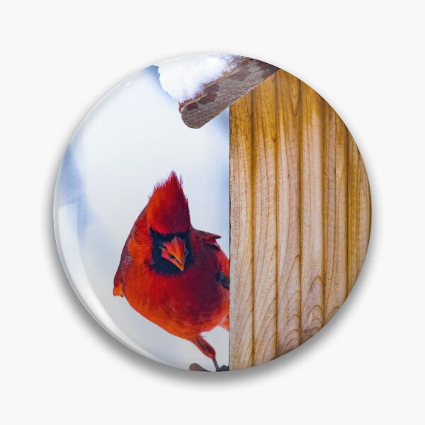 Item preview, Winter Red designed and sold by Shannon Bosley.