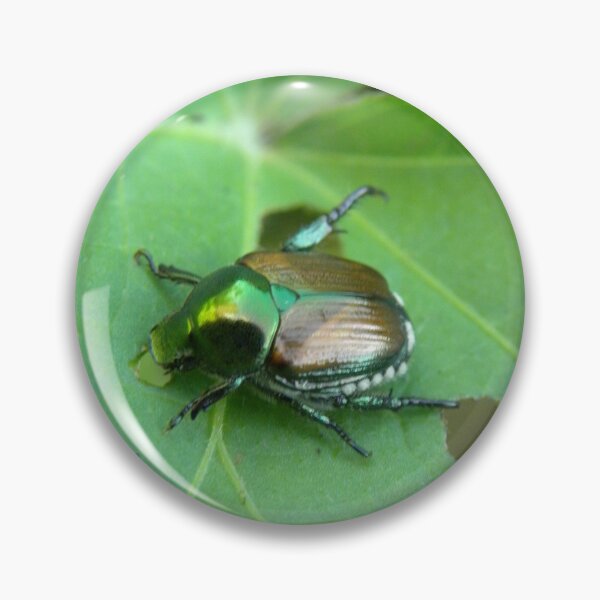 Item preview, Japanese Beetles designed and sold by OrangeEden.