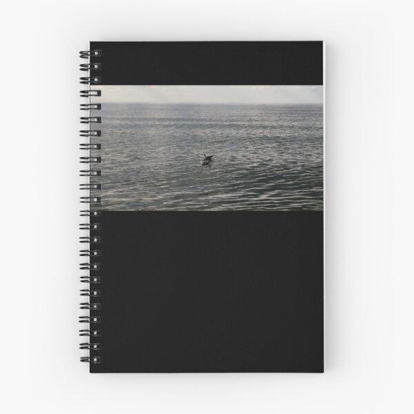 Item preview, Seascape - Seagulls swimming off Port Bruce Beach, Ontario,  designed and sold by Robert Link.