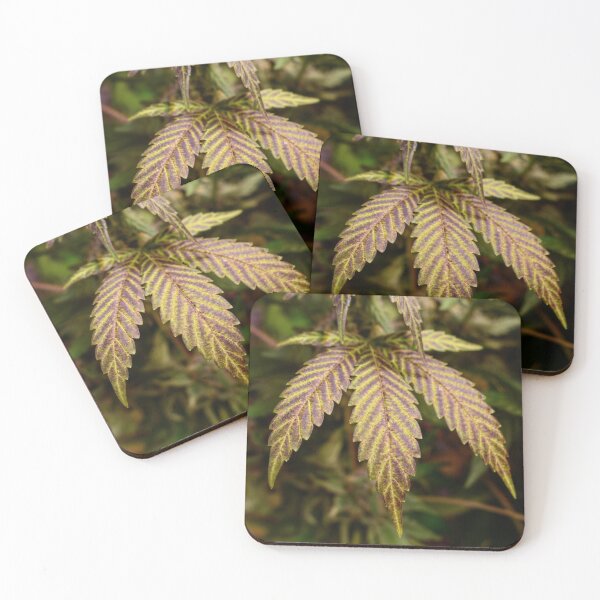 Artikelvorschau, Cannabisblatt entworfen und verkauft von KingJayGardens.