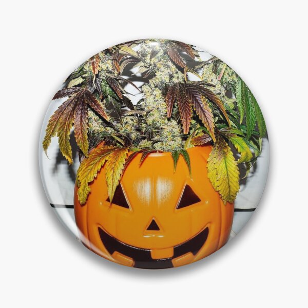 Item preview, Pumpkin Halloweed designed and sold by KingJayGardens.