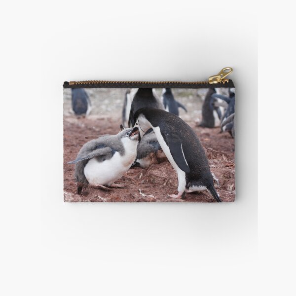 Item preview, Chinstrap Penguin and Chick ~ "Al fresco dining" designed and sold by Robert Elliott.