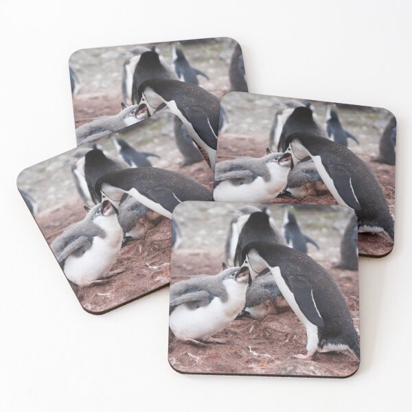 Item preview, Chinstrap Penguin and Chick ~ "Al fresco dining" designed and sold by Robert Elliott.
