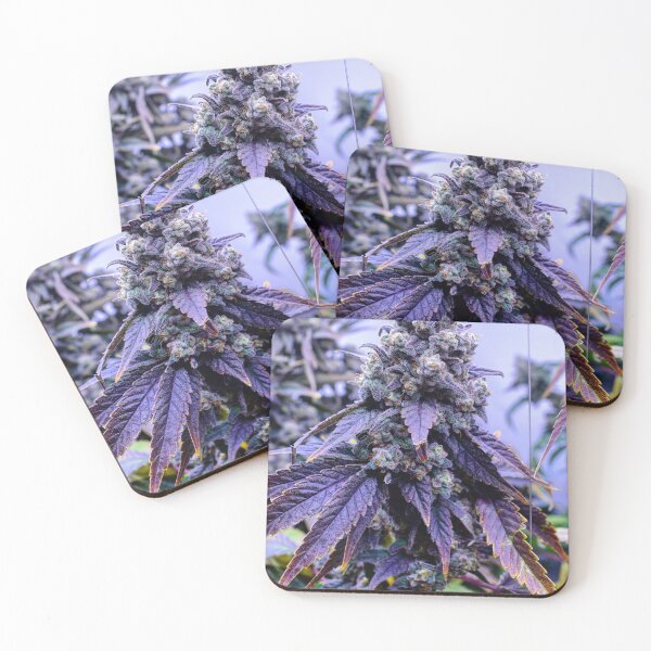 Item preview, Cannabis Cola designed and sold by KingJayGardens.