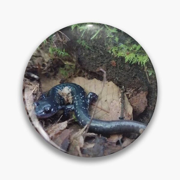 Item preview, Blue Ridge Slimy Salamander designed and sold by NottingHill.