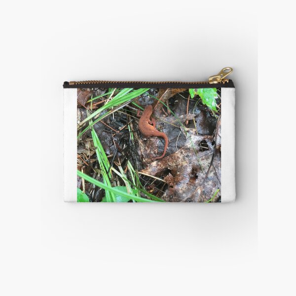 Artikelvorschau, Red Eft Eastern Newt entworfen und verkauft von NottingHill.