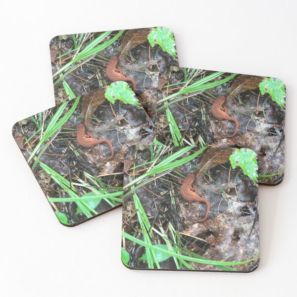Item preview, Red Eft Eastern Newt designed and sold by NottingHill.
