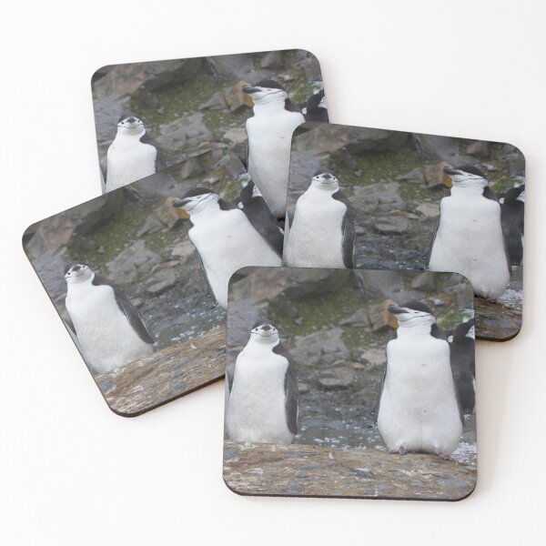 Item preview, Chinstrap Penguins ~ Aerobics Workout designed and sold by Robert Elliott.