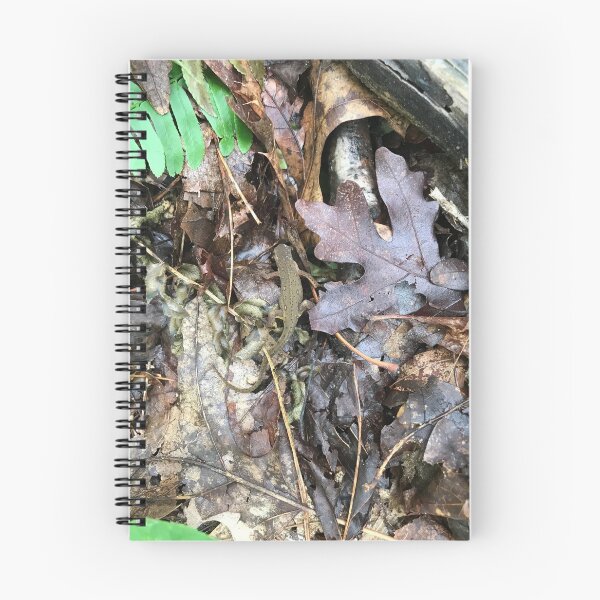 Item preview, Eastern Newt designed and sold by NottingHill.