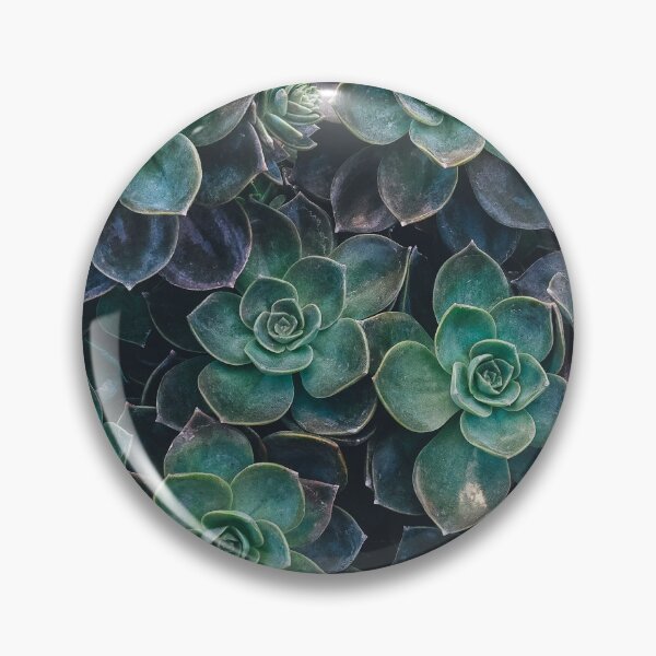 Item preview, Succulents designed and sold by Studio MaC.