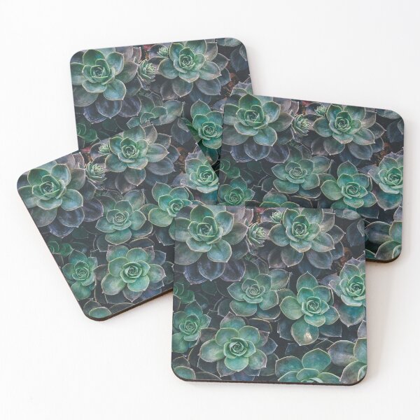 Item preview, Succulents designed and sold by Studio MaC.