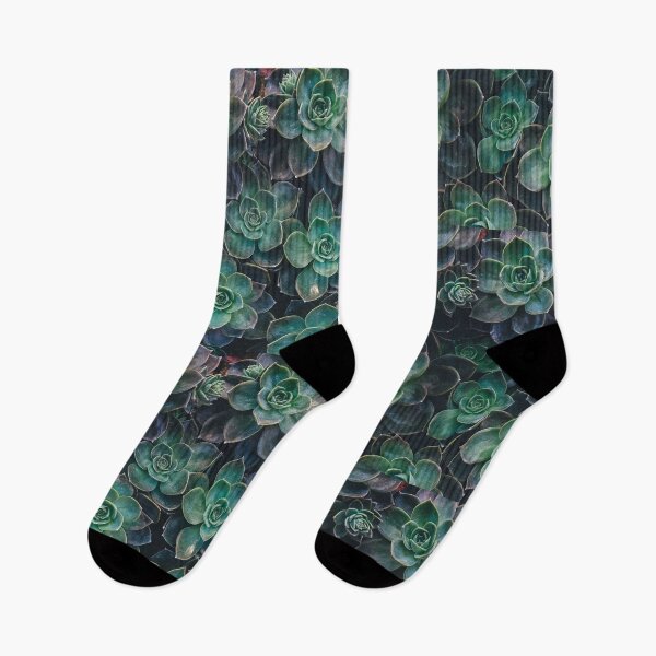 Item preview, Succulents designed and sold by Studio MaC.