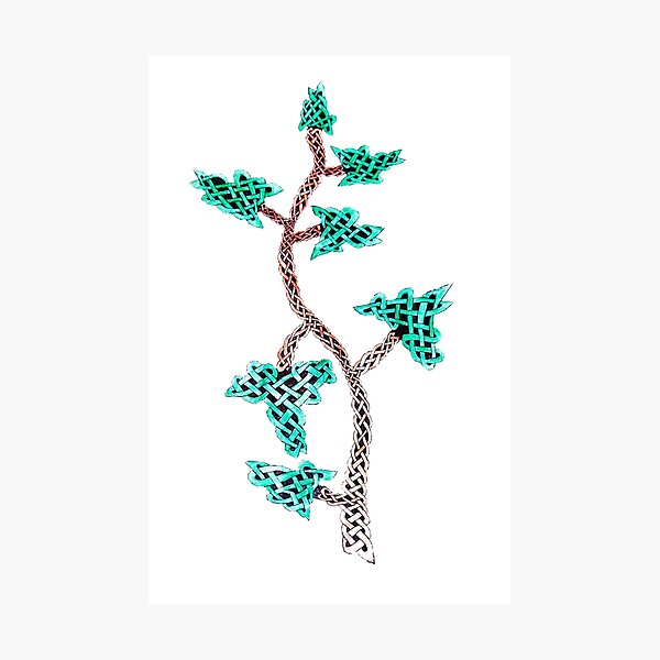 Ivy intertwined Photographic Print