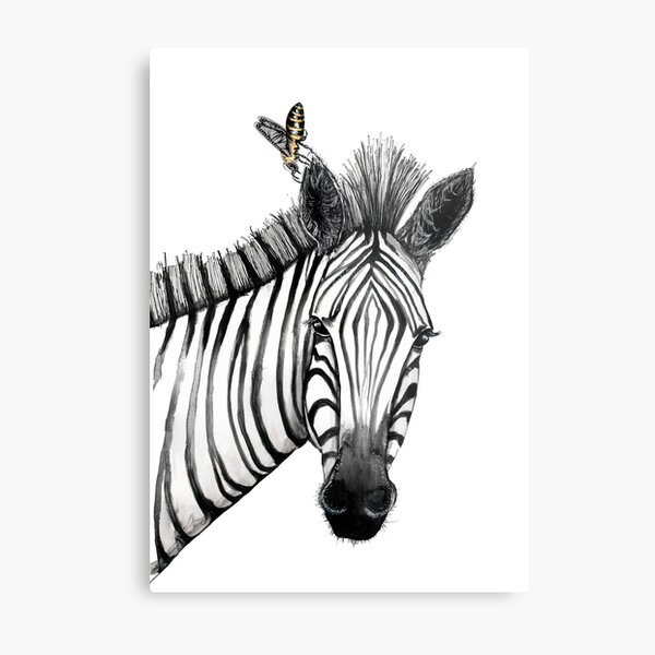 The zebra with the bee Metal Print