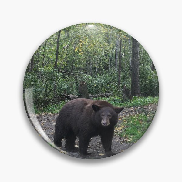 Item preview, American Black Bear Yearling in the Fall designed and sold by NottingHill.