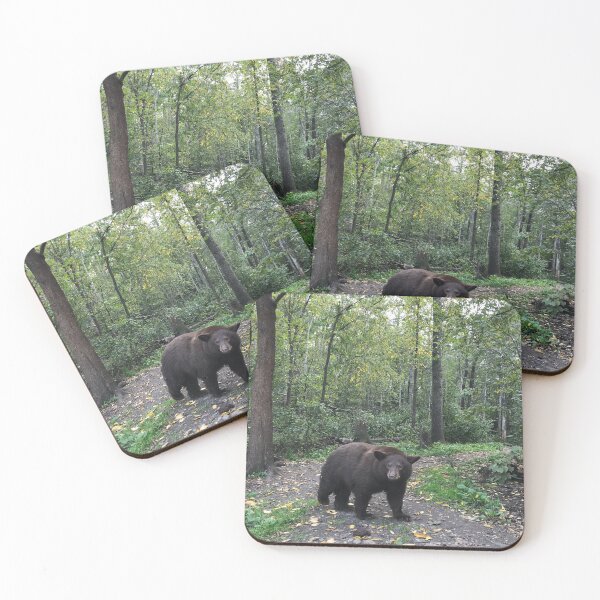 Item preview, American Black Bear Yearling in the Fall designed and sold by NottingHill.