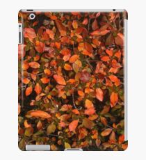 Leaves iPad Case/Skin